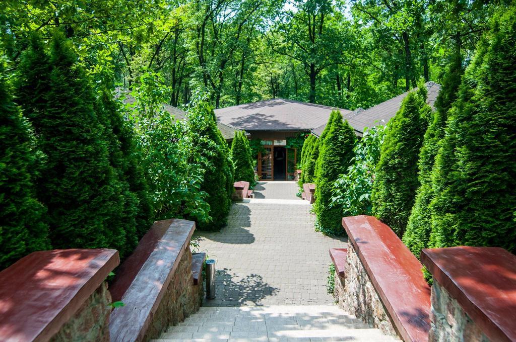Kolyba House